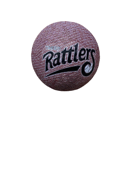 Timber Rattlers Retro Kickball