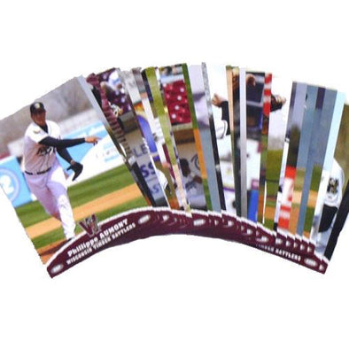 Wisconsin Timber Rattlers 2008 Team Set
