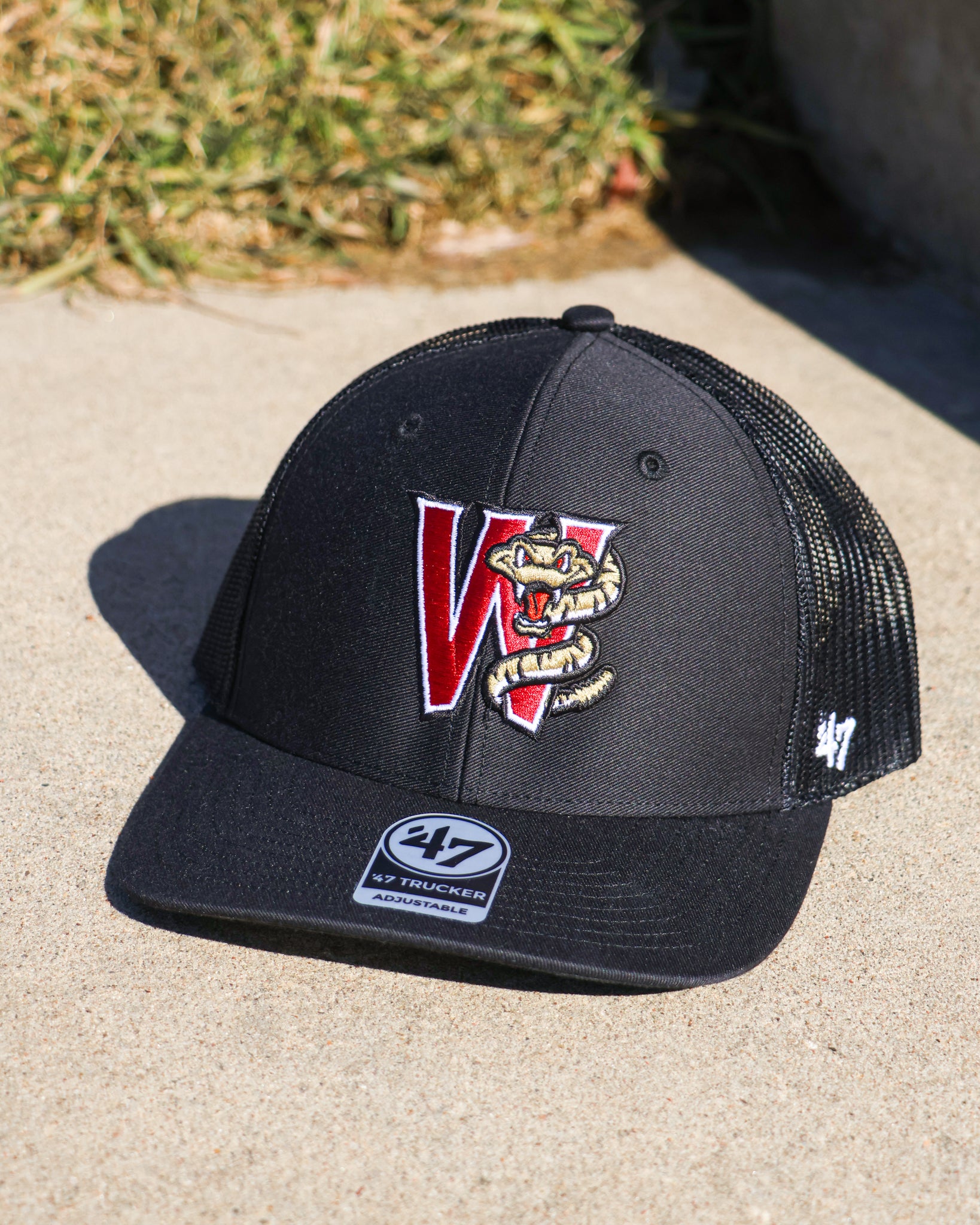 Wisconsin Timber Rattlers Welcome Diamond Baseball Holdings as New Owner Wisconsin Timber Rattlers Welcome Diamond Baseball Holdings as New Owner