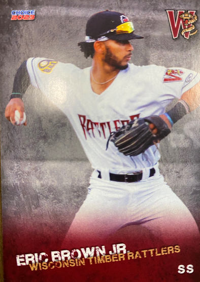 Wisconsin Timber Rattlers 2023 Team Card Set